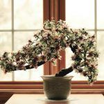Decorar la casa con Bonsai