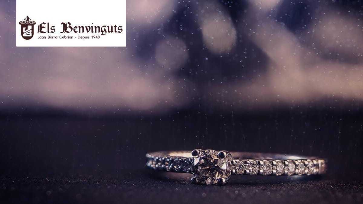 elsbenvinguts Découvrez notre gamme de bijoux à prix doux