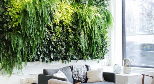 Descubre como tener un jardIn vertical en tu terraza 01