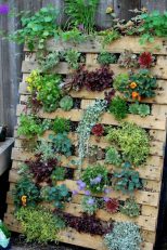 Descubre como tener un jardIn vertical en tu terraza palets 01