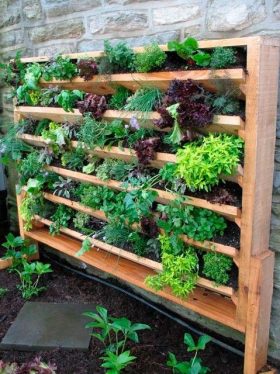 Descubre como tener un jardIn vertical en tu terraza palets 03