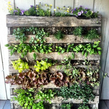 Descubre como tener un jardIn vertical en tu terraza palets 04