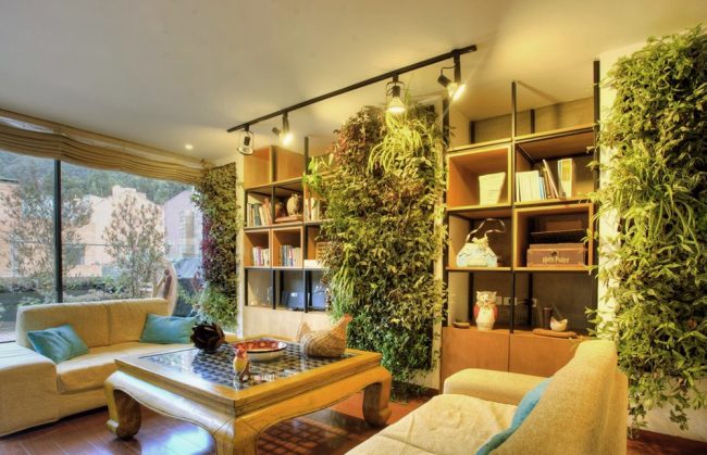 Descubre cómo tener un jardín vertical en tu terraza 05