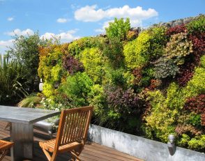 Descubre cómo tener un jardín vertical en tu terraza 13