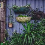 jardines verticales en casa