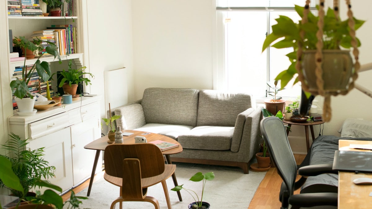 decorar con plantas suculentas