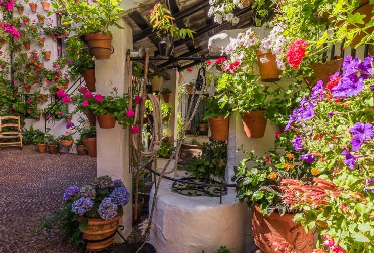 Las Mejores Plantas para Plantar en Primavera