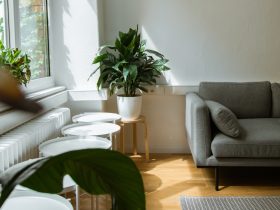 conseguir mas luz en casa