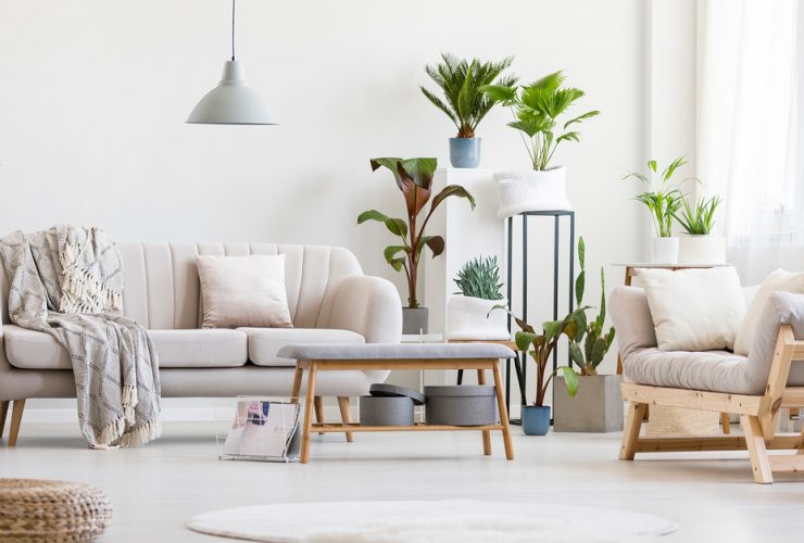 Cómo decorar con plantas artificiales realistas