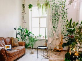 Garden room: Nueva tendencia de decoración con plantas