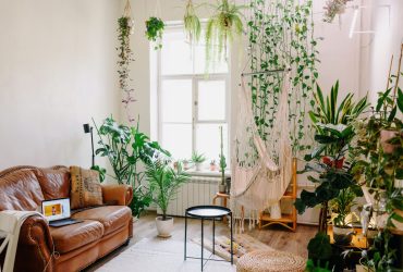 Garden room: Nueva tendencia de decoración con plantas
