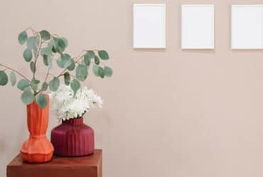 Estas son tus plantas para decorar este Otoño