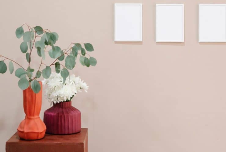 Estas son tus plantas para decorar este Otoño