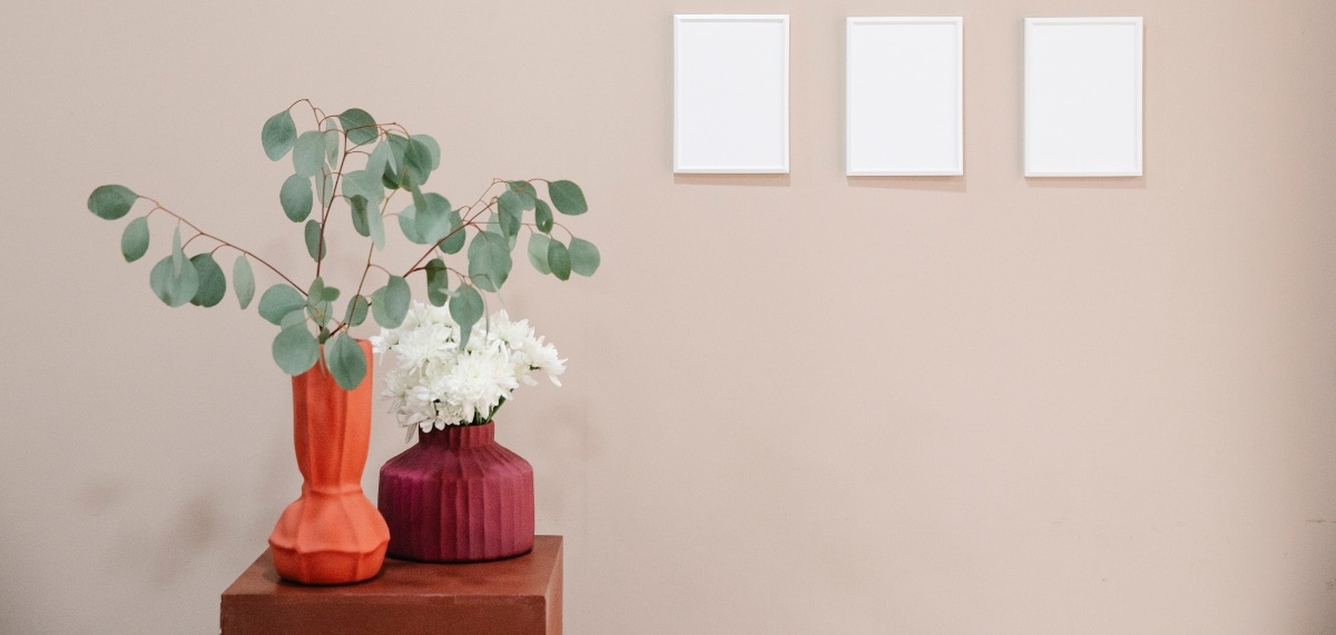 Estas son tus plantas para decorar este Otoño