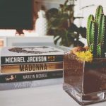 Libros decorativos: Cómo integrarlos en la decoración