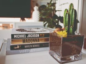 Libros decorativos: Cómo integrarlos en la decoración