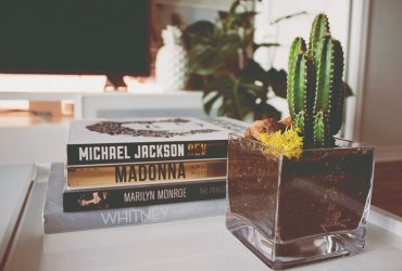 Libros decorativos: Cómo integrarlos en la decoración