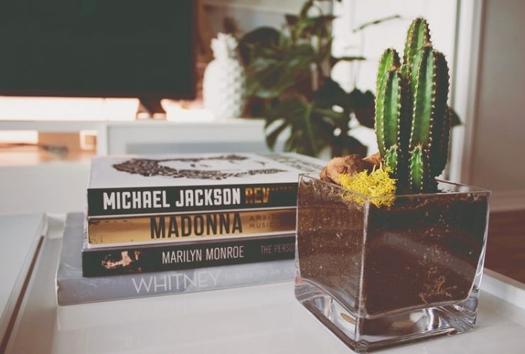 Libros decorativos: Cómo integrarlos en la decoración