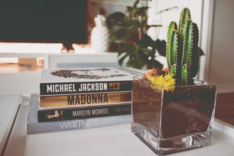 Libros decorativos: Cómo integrarlos en la decoración