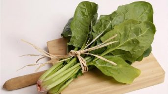 espinacas en noviembre