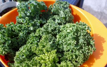 kale en noviembre
