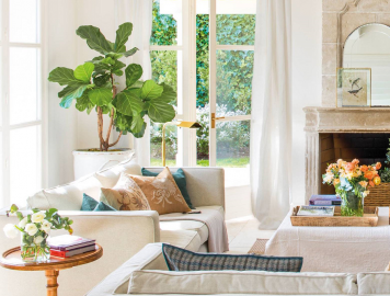 ficus-lyrata-para-interior