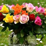 mejores flores para regalar en San Valentin