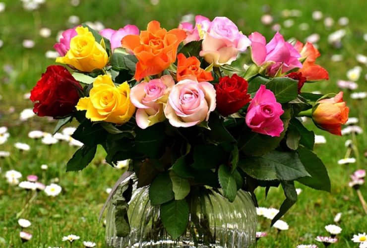 mejores flores para regalar en San Valentin