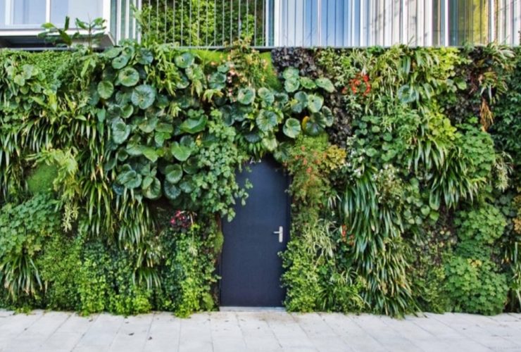 jardines verticales