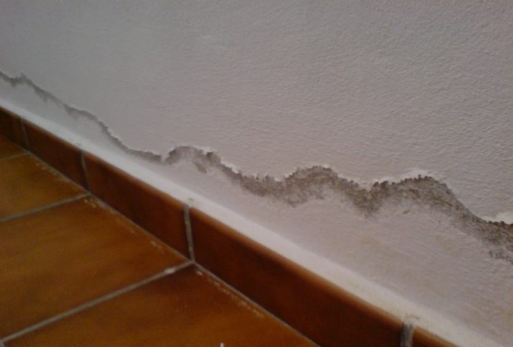 humedad en el suelo