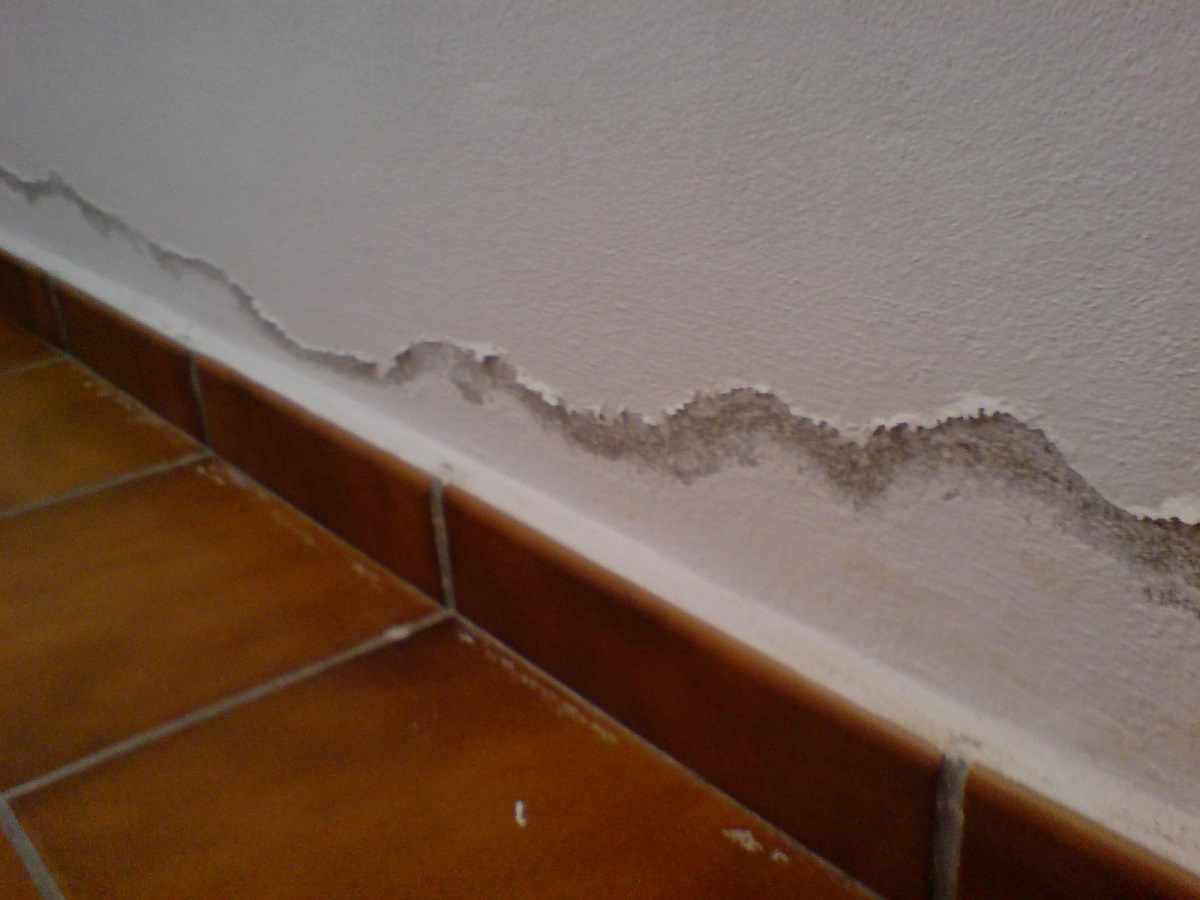humedad en el suelo